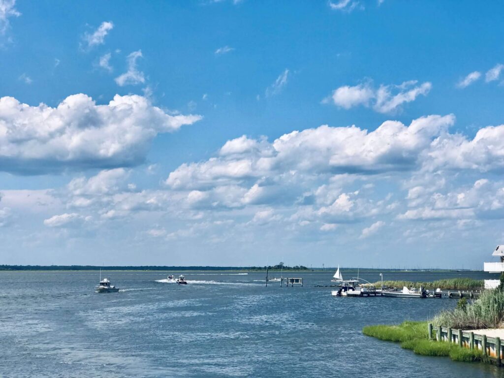 Boats on the water