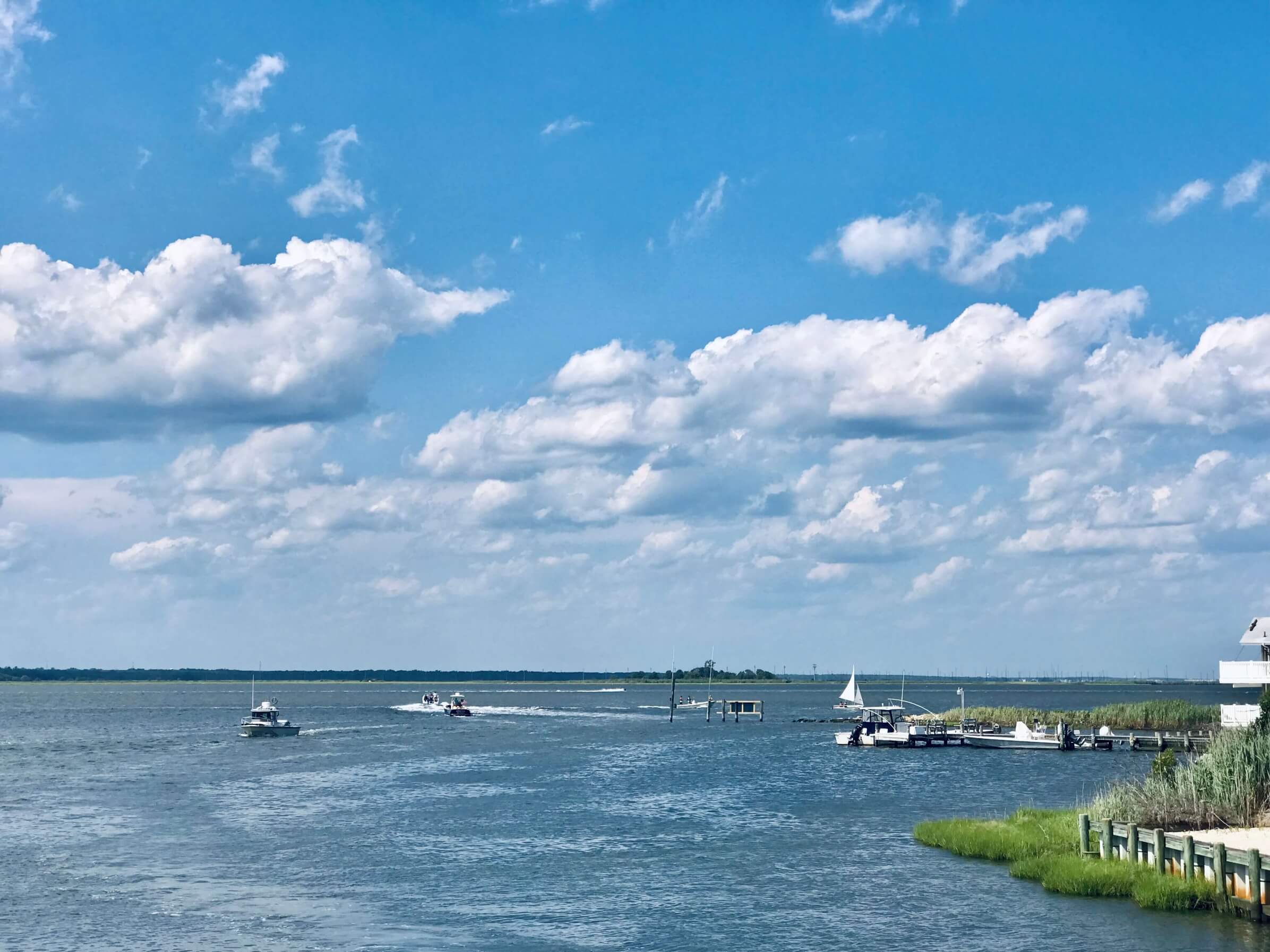 DAILY BOAT RENTALS