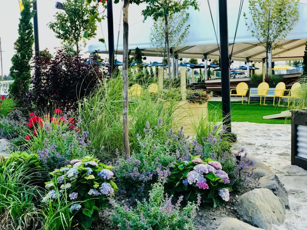 Landscaping at the Boatyard